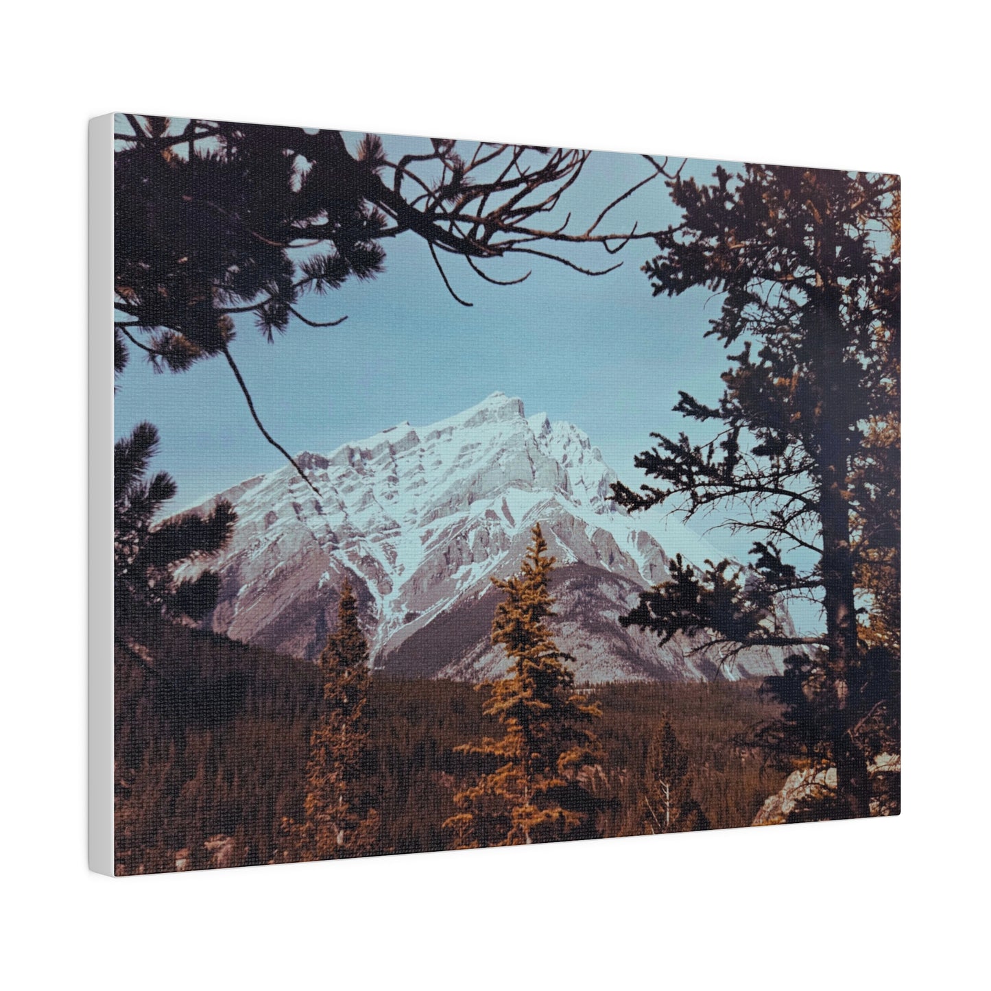 Rundle Mountain Banff Matte Canvas, Stretched, 0.75"